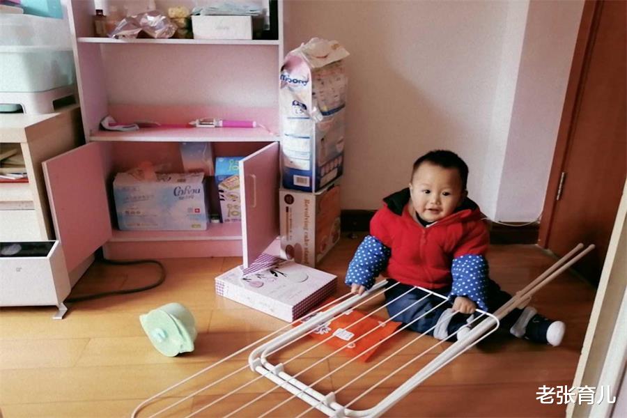 老张育儿|两岁大的孩子，总是翻箱倒柜，他们到底在找什么？