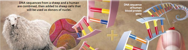 科学家 为啥现在很少提“克隆”了？多莉的一生看见答案，太可怜了
