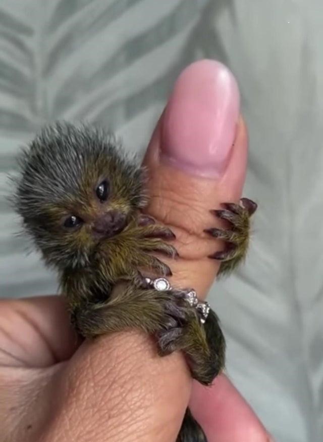  大开眼界！13张有关于「大自然」的罕见图片，看完“姿势大涨”！