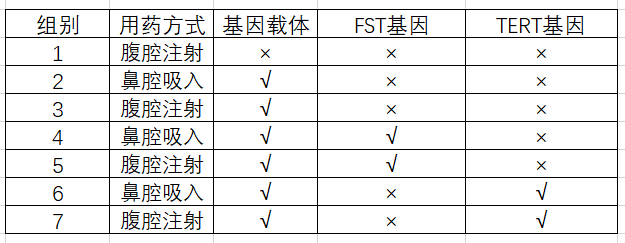 时光派|可以吸的“长寿药”？每月1次，小鼠延寿40%，震惊哈佛抗衰专家！