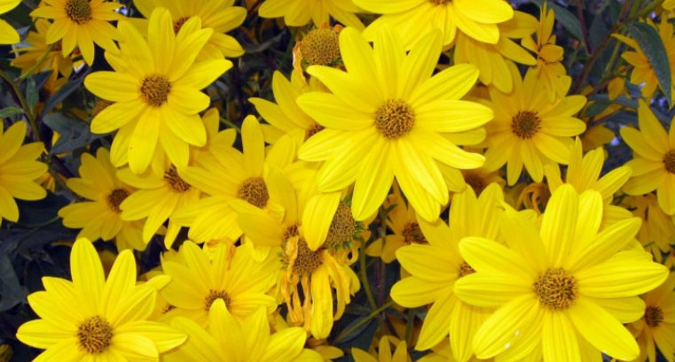 职场心理|离职之后，为什么曾经要好的同事都不联系？职场心理成长