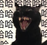 长津湖|她是如何做到让她的男人们都死心塌地的？