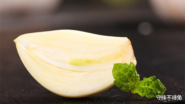 骆驼 有趣的18个冷知识：为什么骆驼生吞仙人掌，不会感到扎嘴