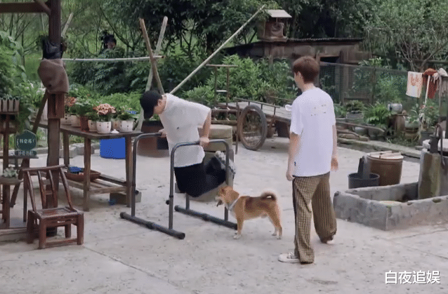 春晚|彭昱畅瘦下来长啥样？陈伟霆做客《五哈2》，愣是没认出对方来