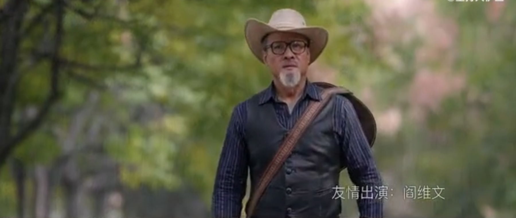 梅艳芳|《半个月亮》日票房900元，“贾宝玉”欧阳奋强主演，成本2000万