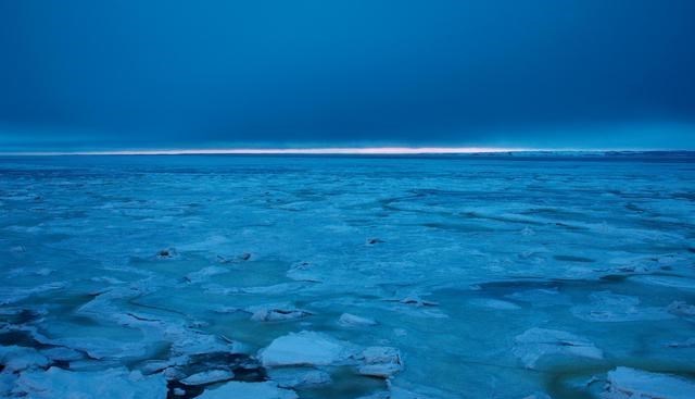  恶化！北极地区出现58℃高温，远古生物不断从冰川中融化