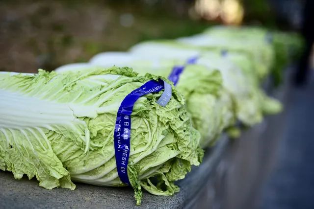 皮炎|长寿食物排行榜，这5种你有没有经常吃？