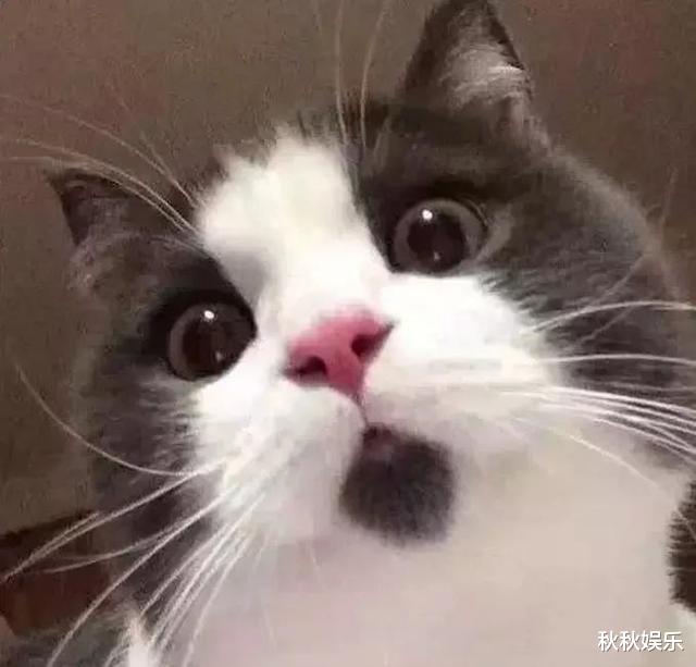 创造营2019|新瓜！脚踏两船还睡女老板，怪不得他糊！