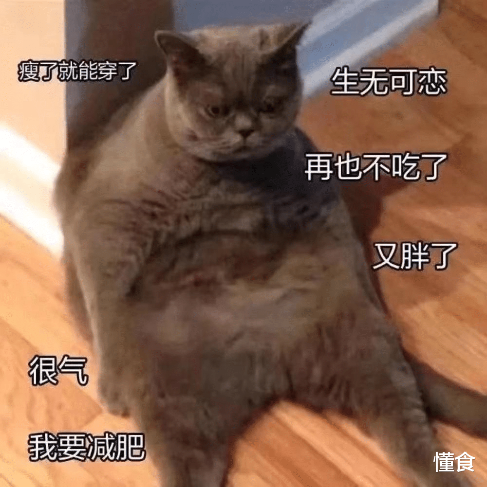 上班族|减肥不好减?看我的三餐,适合上班族,有菜有肉,吃饱吃好还能瘦