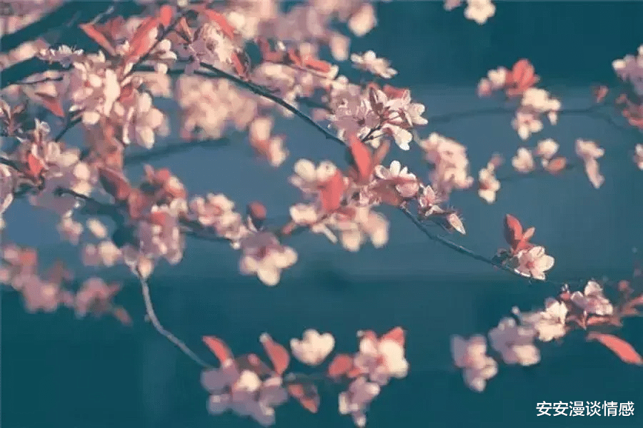 安安漫谈情感|53岁女人讲述婚外情:一夜“偷吃”,晚年凄苦,不离婚也是折磨