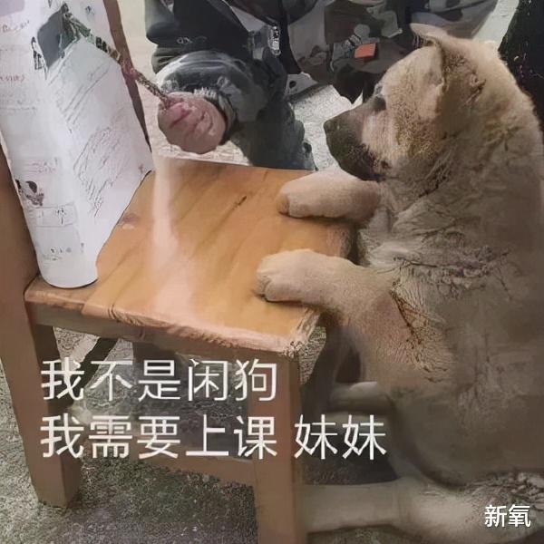 孙滢皓|井川里予被骂到改名？易梦玲只能穿露肩装营造氛围感？