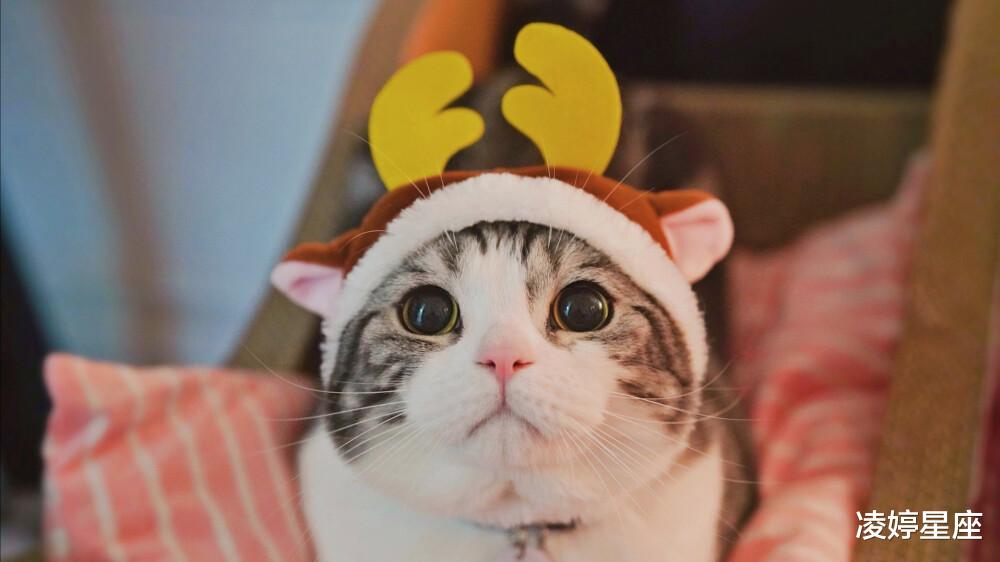 凌婷星座|不强求不强留,留份回忆也好,下降射手座的宿命之爱,靠记忆痴情