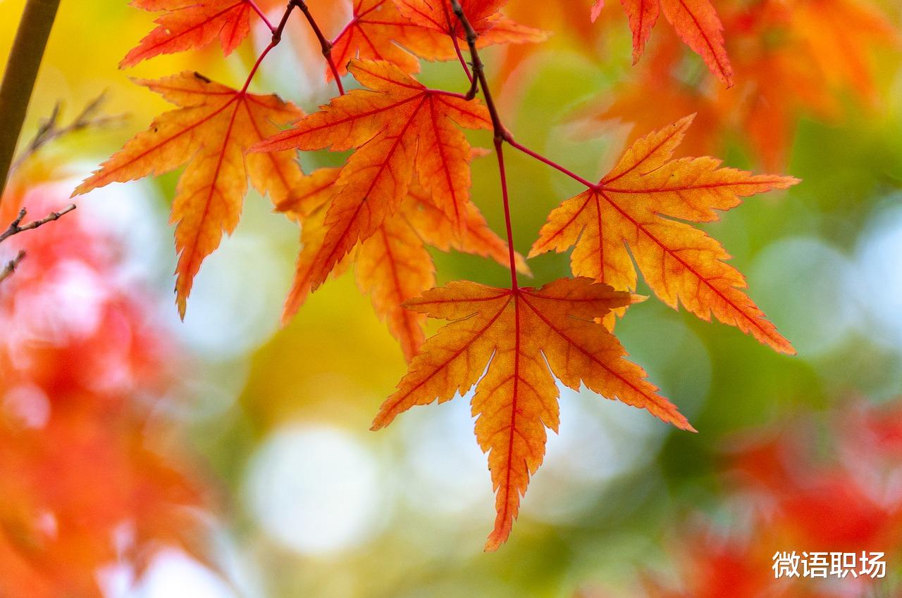 创业|长期坚持这14件事,升级你的大脑,你会变得越来越优秀