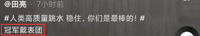 田亮|田亮退役14年再跳水，被看成了“法外狂徒张三”