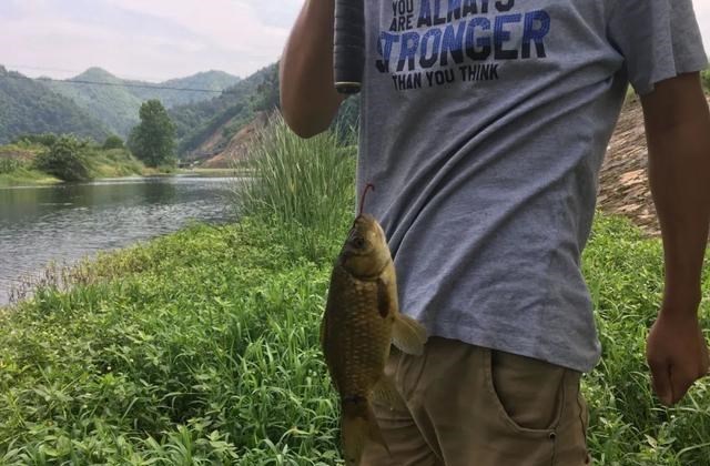 钓鱼|钓鱼会损阴德、减寿命？某些人妖言惑众，素质碎了一地！