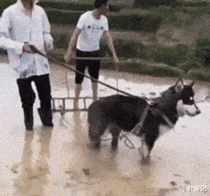 华为|“为什么像马化腾那种超级富翁，不直接退休拿着钱无忧无虑地过一辈子呢？”