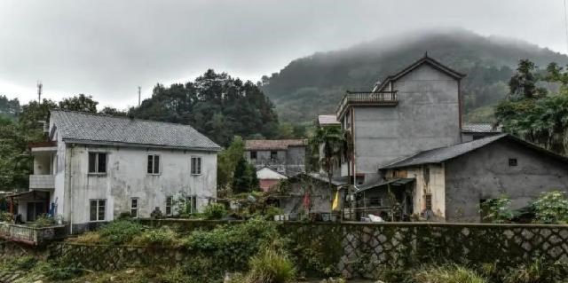 胡小小乖|邻里纠纷导致母亲被打，施暴者还摆宴庆祝，儿子连夜回家将其灭门