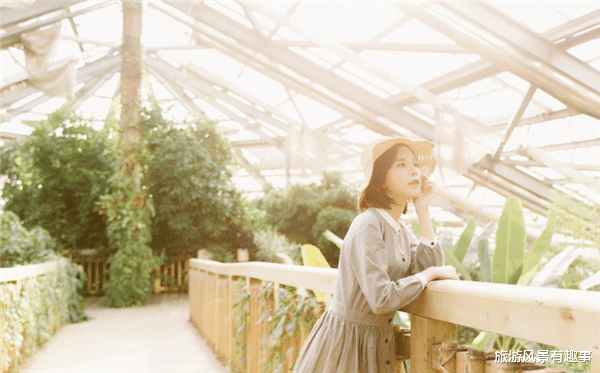 旅游风景有趣事|为人非常直率,不会拐弯抹角,总是直来直往的三个生肖