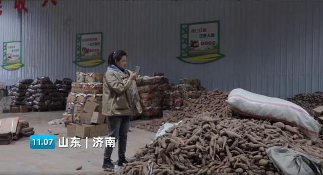 山东女记者辞职卖地瓜年售过亿:因怀念儿时烤地瓜的味道