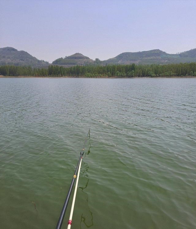 九烈or泥莉 河南钓友大河钓起罕见巨鲫，重1斤半，已到生长极限？