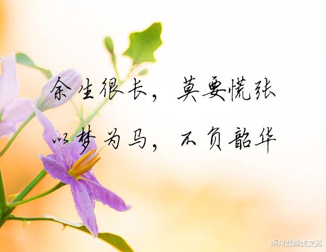 昕月蓝殇美文苑|八月再见,九月你好,愿你岁月不扰,余生常欢笑