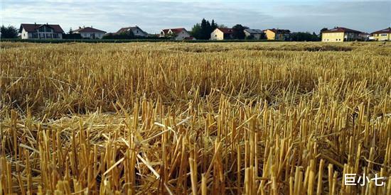 医院|女人起床第一次小便，如果没有这三个标志，说明子宫很健康