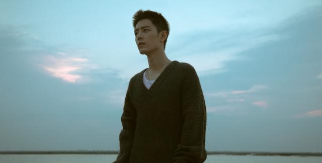 小蜥蜴 肖战“反击策略”有隐情！维权之路太艰难，黑子屡次作恶令人气愤