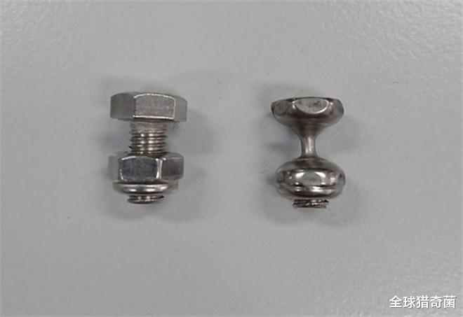 全球猎奇菌 32张照片告诉你，时间的力量有多恐怖