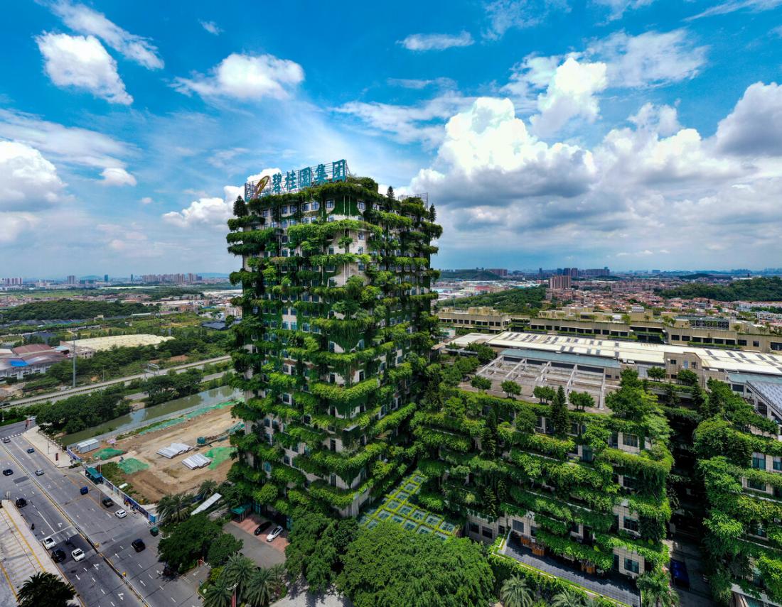 碧桂园|碧桂园“狗住了”，然后呢？