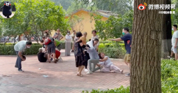 树艺蛙APP|北京一动物园两家人互殴，全家上阵抱着孩子参与“战斗”