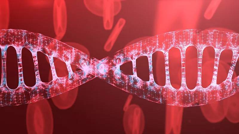 杭吉泰迪干细胞|新发现,干细胞治疗缺血性脑卒中与这几大机制密切相关!