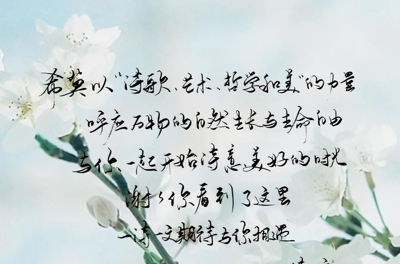 阳阳的情感心情 拈花把酒尽余杯，生活到处都有诗，只等你去俯拾