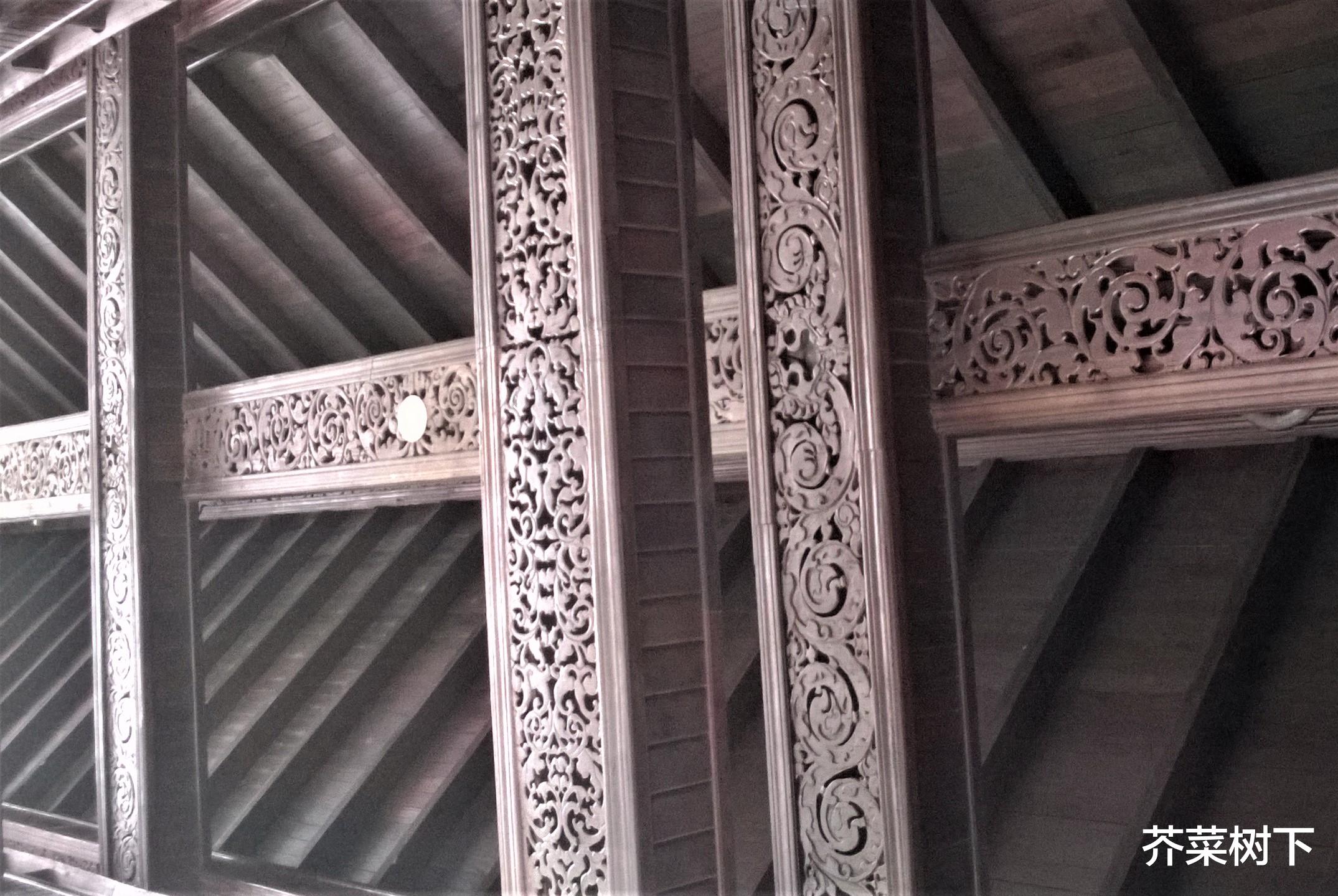 |过于依赖专业，反而产生新的无知