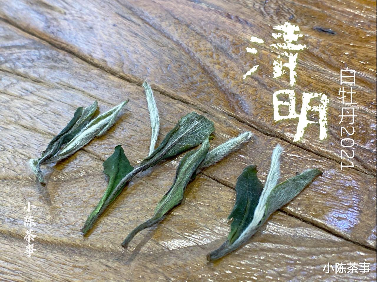 绿茶|六大茶类有哪些储存技巧?不注意这3个细节,分分钟毁了你的好茶