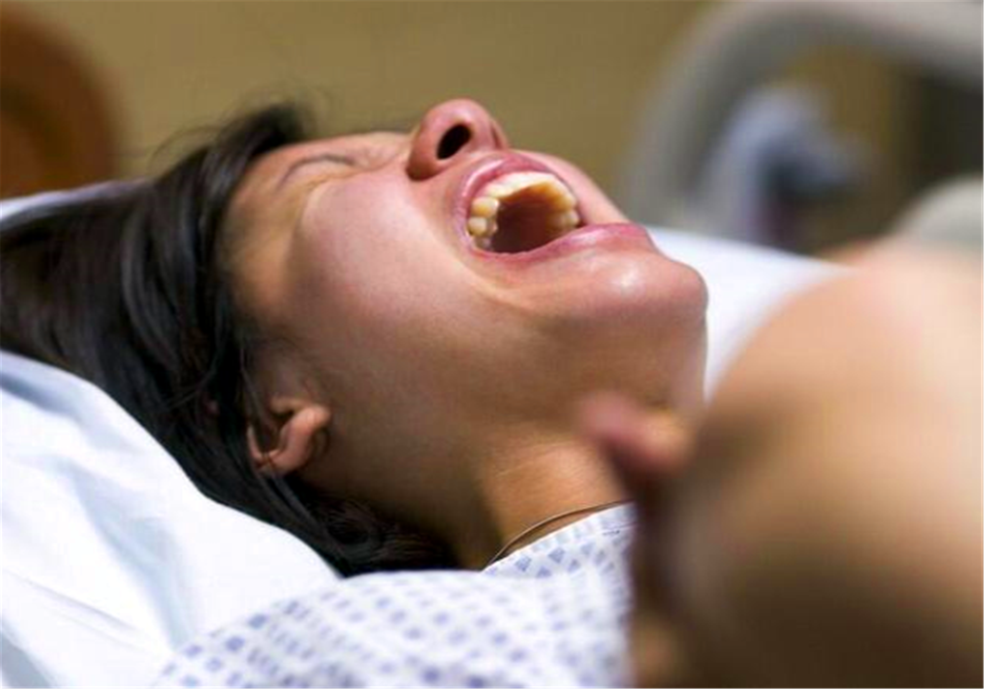 歪骆驼|看看动物分娩过程，人类分娩简直是噩梦，你害怕吗？