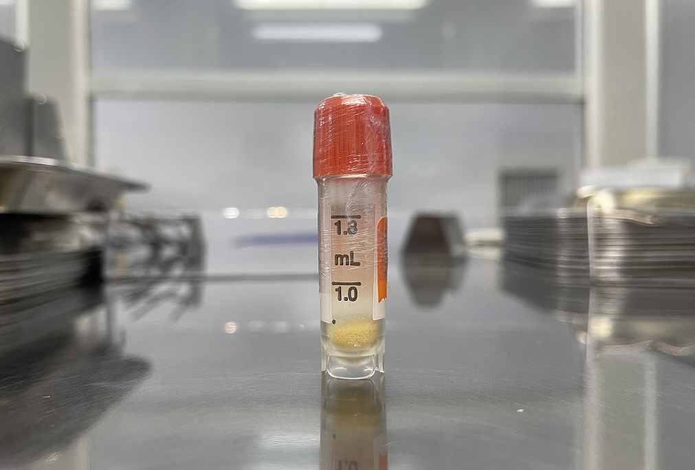 航天 激动人心！和航天英雄一起飞天的灵芝、铁皮石斛顺利完成“太空科考”