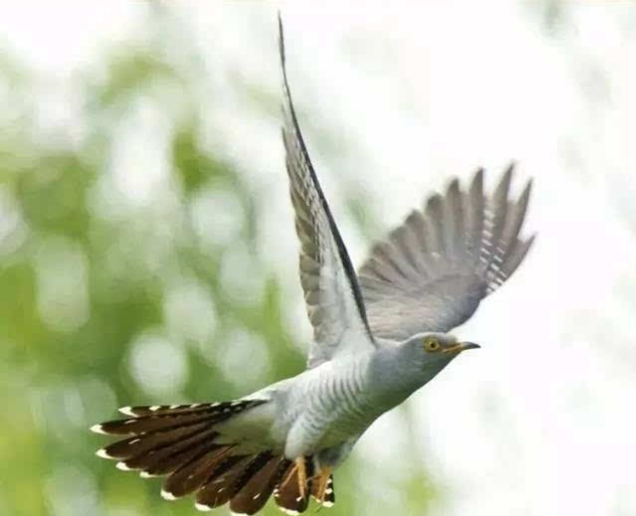 小台灯情感天地|财富“眷顾的人”,自身都具备这“三点”