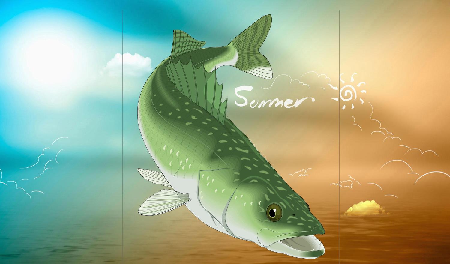 饵料|怎样才能成为钓鱼高手?成为真正的钓鱼高手需要的四个步骤