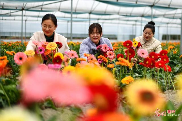 光明網視頻 湖北通城：鮮花香溢振興路