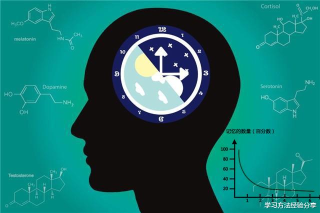 小行星 学习的本质就是记忆，但脑子太笨容易忘怎么办？