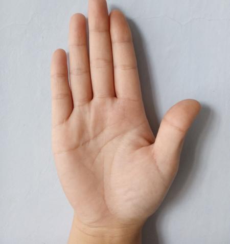 杨坤说生肖命理|财运旺，运势佳的手相