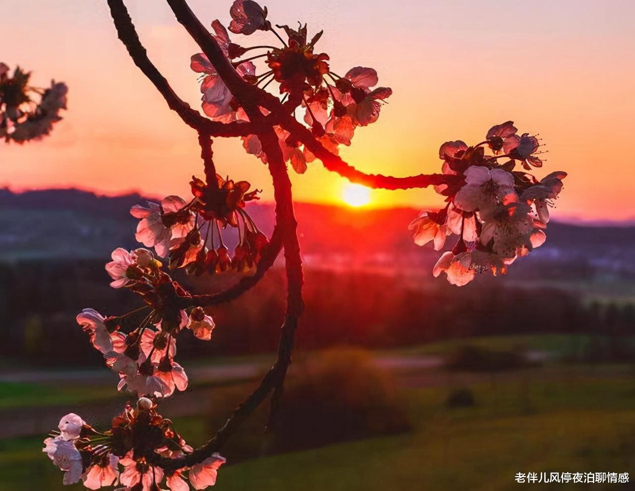 老伴儿风停夜泊聊情感|低谷时,做到这2个字,你就赢了
