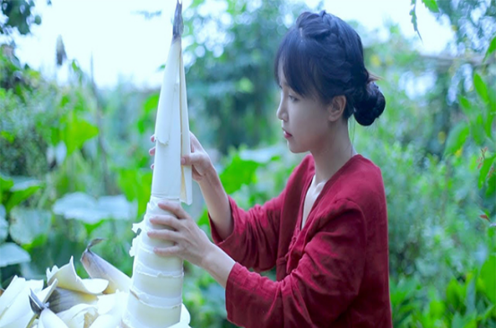 盛夜霄的星座解说 彻底“撕破脸”了，“最惨打工人”的李子柒，刚刚出手反击资本