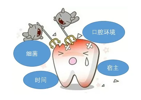 蛀牙|人到中年，骨质疏松，导致龋齿变多？