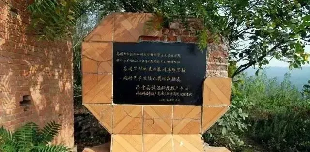 核桃|文玩猴头核桃的“前世今生”，你又了解多少