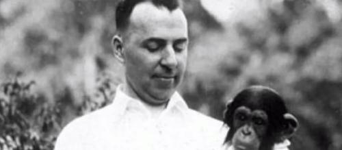 黑猩猩 1931年，这只黑猩猩与人类小孩一起养大，它会成为人类吗？