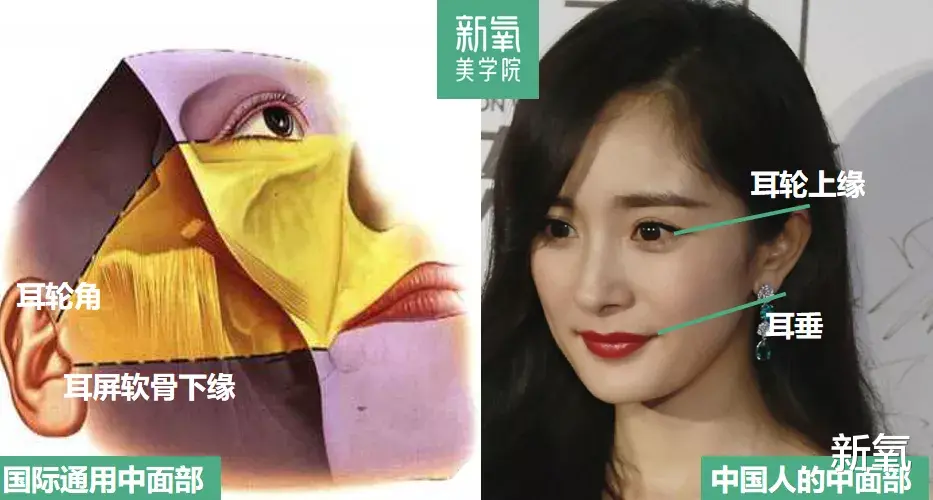 生图|21岁的刘浩存撞上41岁的张柏芝,这生图有点欺负人了