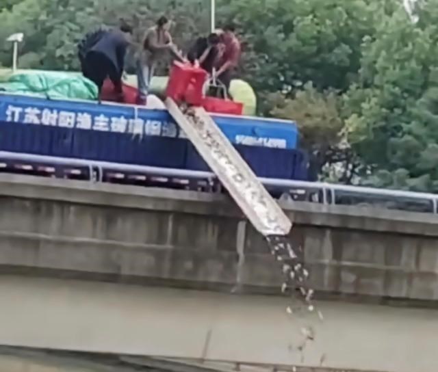 上海市|上海“鲫鱼之战”，一天能钓七八十斤！盛宴过后却是一地鸡毛