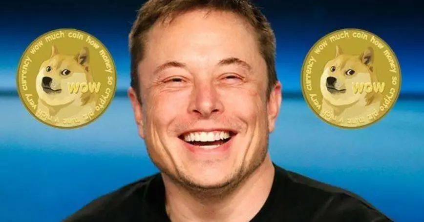 伊隆·马斯克 马斯克，丫就是个搅屎棍