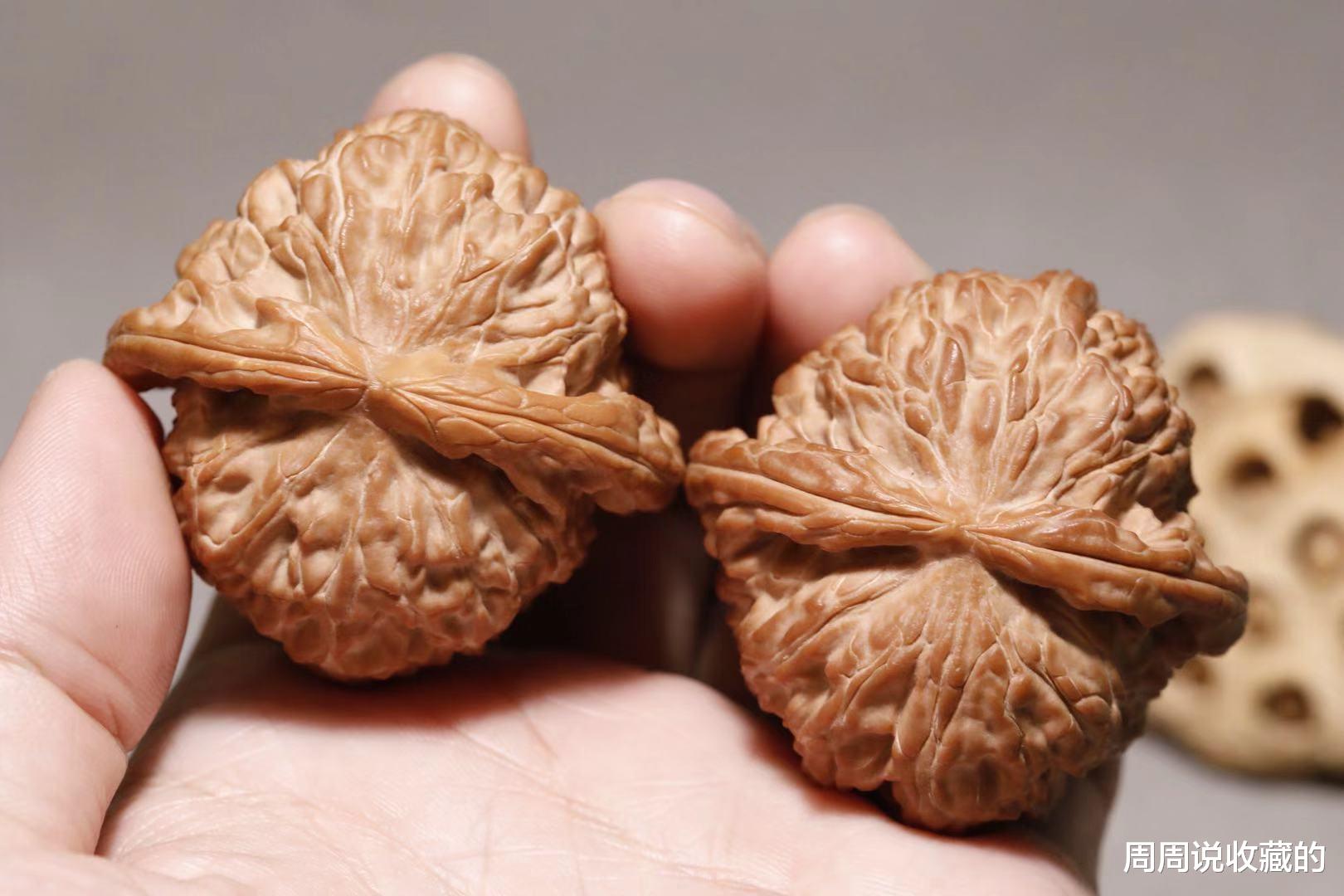 文玩核桃|文玩核桃该如何打底,让多少新玩家不知所措